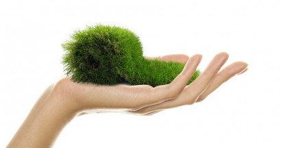 Illustration : Choisir de la pelouse artificielle : un choix écologique ?