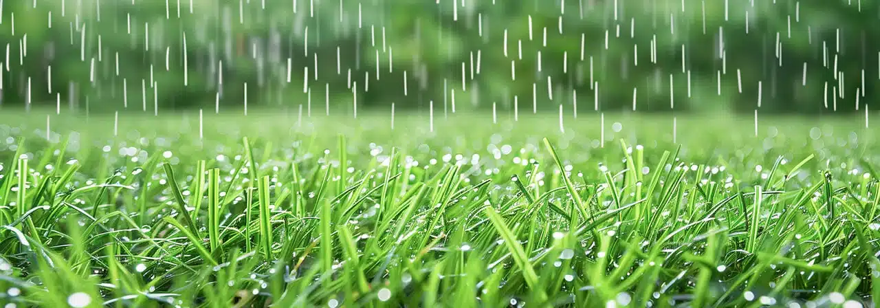 Pluie, orages, intempéries et pelouse synthétique