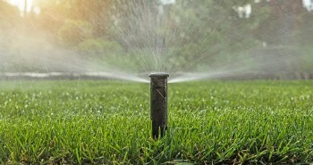 Illustration de Sècheresse 2023 : Aménagez un jardin sans eau avec le gazon synthétique