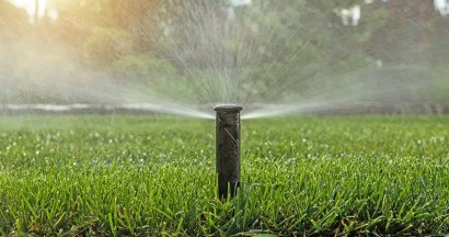 Illustration : Sècheresse 2023 : Aménagez un jardin sans eau avec le gazon synthétique
